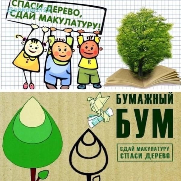 Бумажный бум макулатура