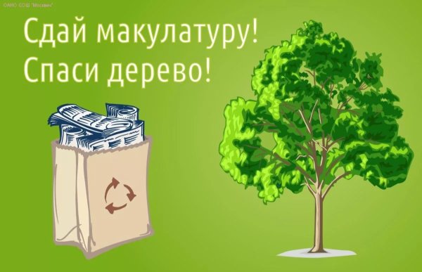 Акция по сбору макулатуры Собери макулатуру Спаси дерево