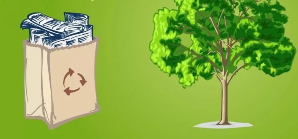 Сбор макулатуры