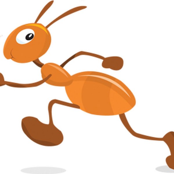 Муравьишка на белом фоне