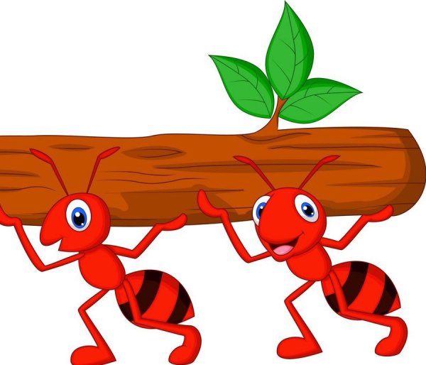 Муравей в каске