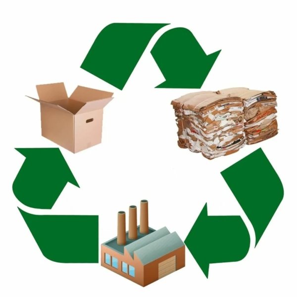 Спасем деревья сбор макулатуры