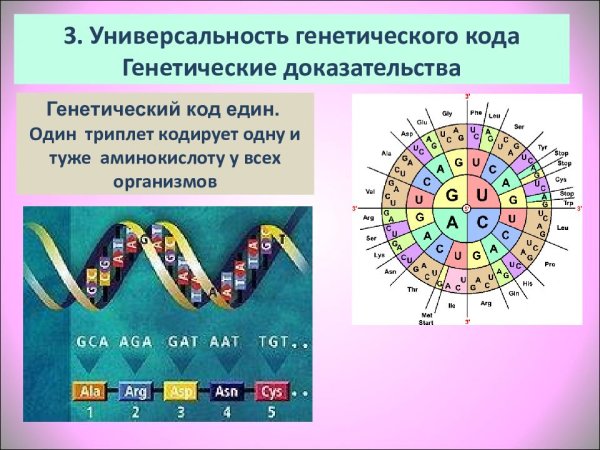 Универрсально ть генетического кода