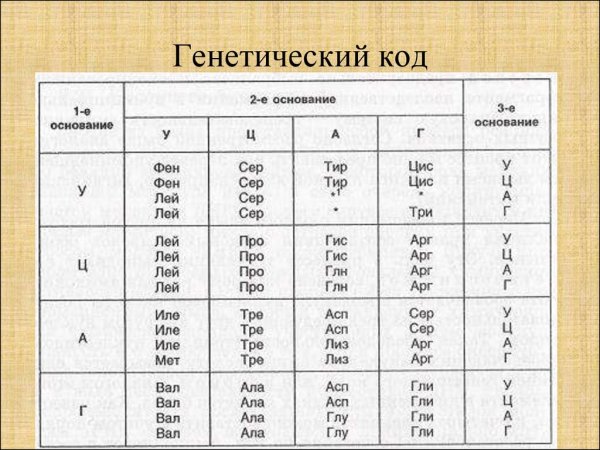 Таблица генетического кода круглая