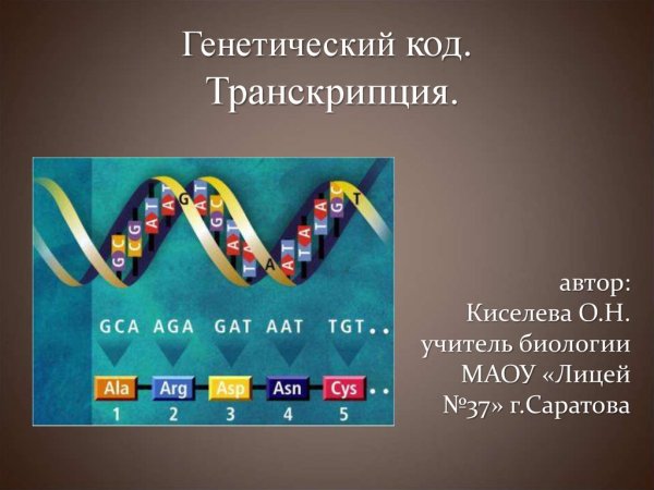 Генетический код РНК