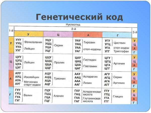 Таблица генетического кода в триплетах ИРНК