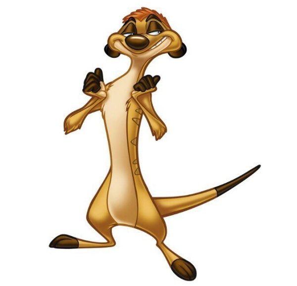 Тимон рисунок карандашом