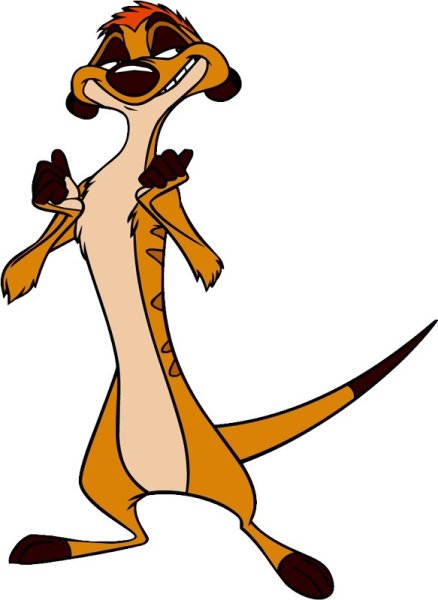 Тимон из мультика