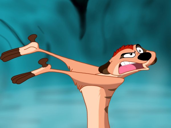 Акуна Матата Тимон