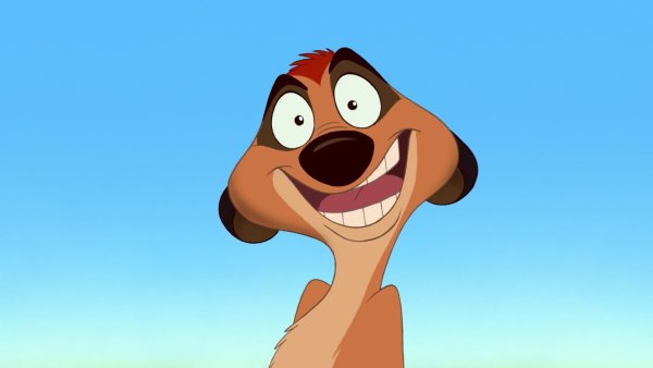 Удивлённый Тимон