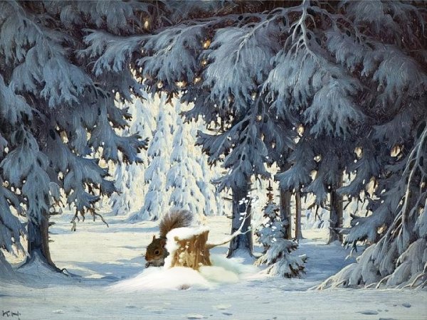 Сказочная зимняя опушка леса