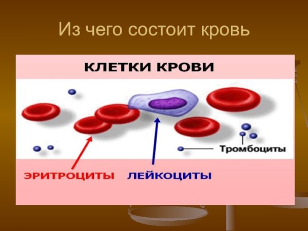 Из чего состоит крофбь