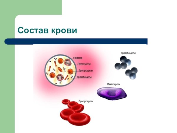 Схема форменные элементы крови эритроциты лейкоциты тромбоциты
