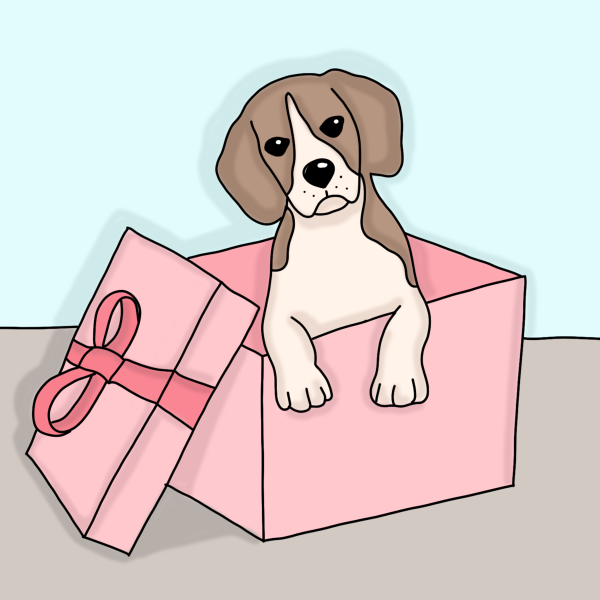 Бигль рисунок для срисовки