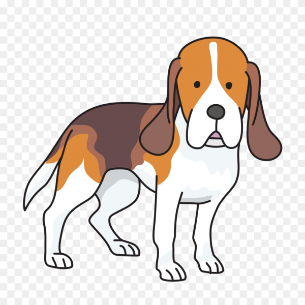 Бигль без фона