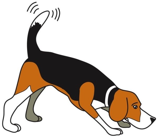 Бигль рисунок для детей