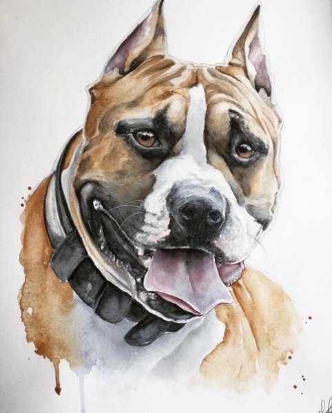 Портрет стаффорда