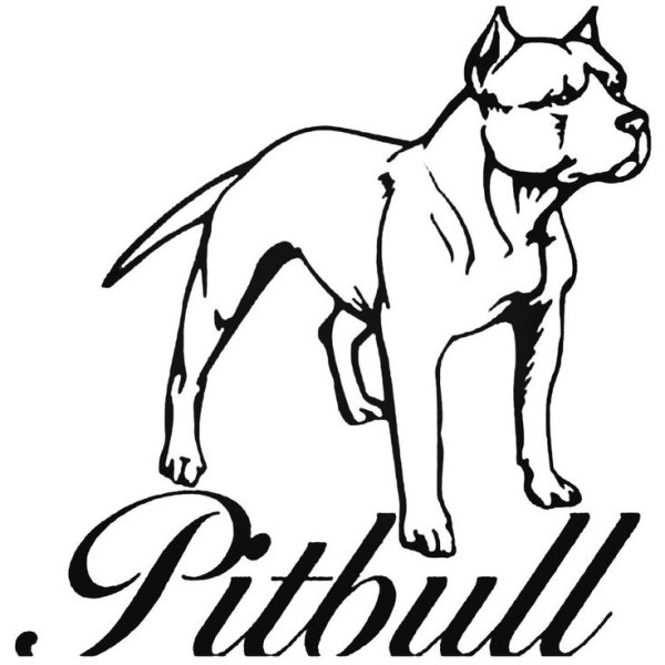 Американский стаффордширский терьер вектор