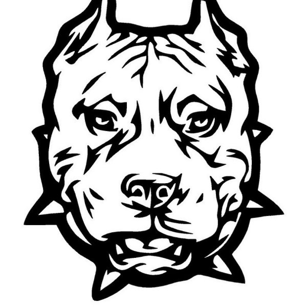 Стаффорд тигровый