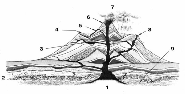 Строение вулканического аппарата