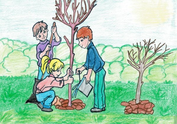 Посадка деревьев детьми