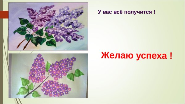 Рисунок на тему сирень