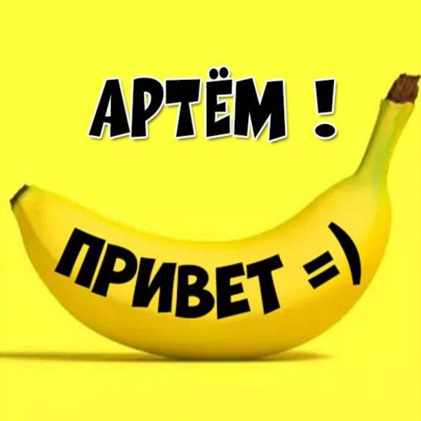 Медведь в кустах