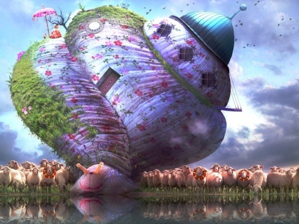 Фантастический дом