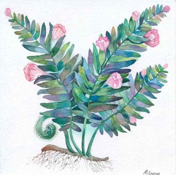 Папоротник рисование с детьми