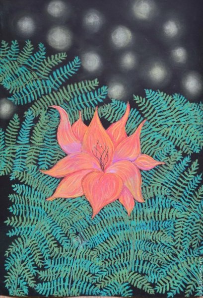 Папоротник кветка