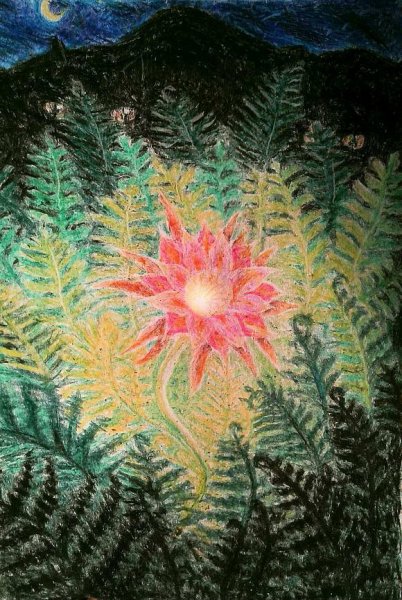 Цветущий папоротник в ночь на Ивана Купала