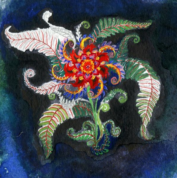 Огнецвет папоротник