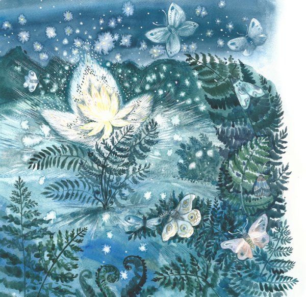 Сказочный цветок папоротника