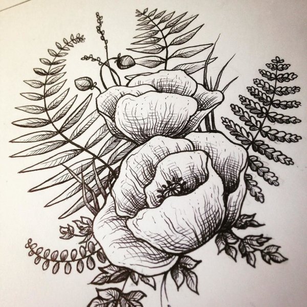 Папоротник карандашом