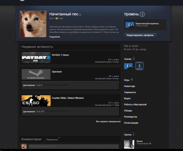 Витрина стим КС го