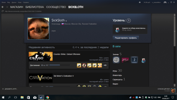 Скриншот аккаунта в стим