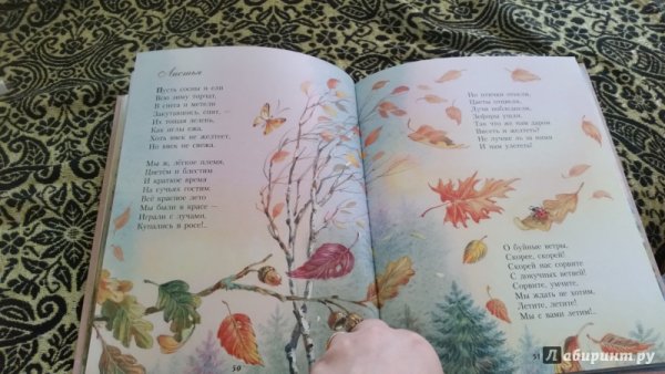 Тютчев листья иллюстрация