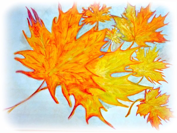 Кленовый лист рисунок