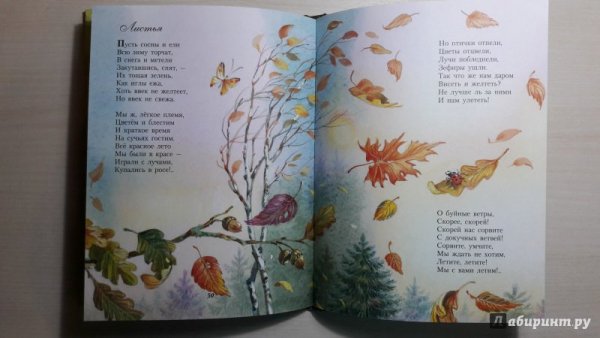 Фёдор Иванович Тютчев листья иллюстрация