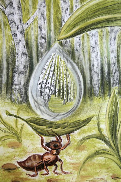 Иллюстрации по экологии