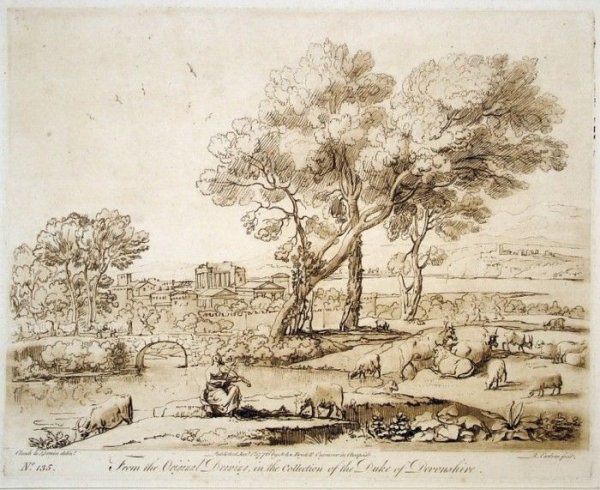 Принт диор Туаль де жуи