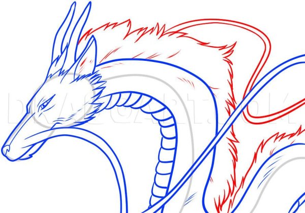 Унесенные призраками Хаку дракон раскраска