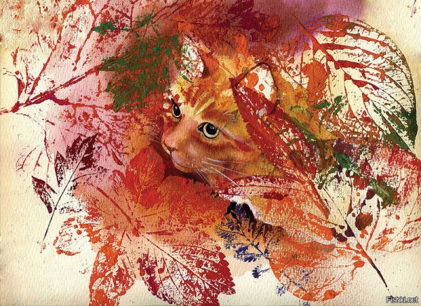 Осень иллюстрации