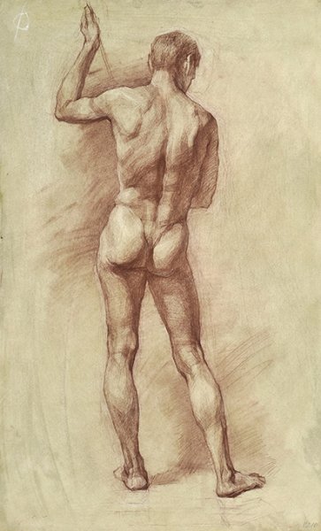 Мужская натура для рисования