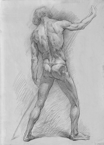 Академический рисунок фигуры человека Академия художеств