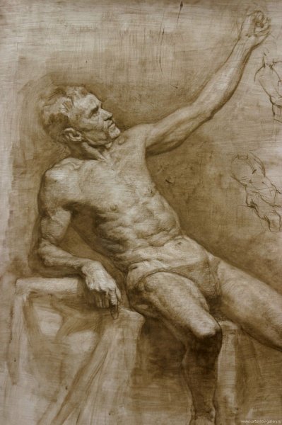 Академический рисунок Строгановка натура