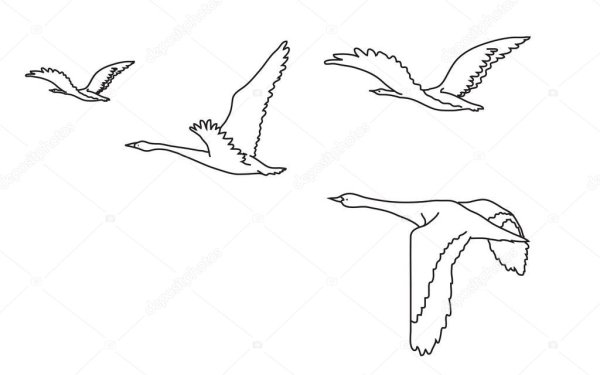 Птицы улетают раскраска