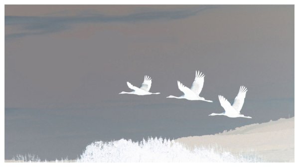 Журавль на белом фоне