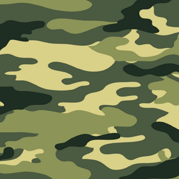 Цвет хаки пятнистый