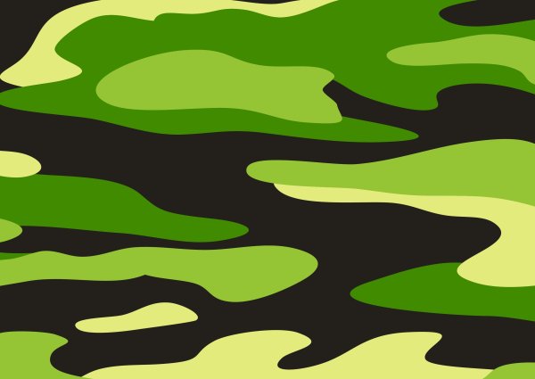 Толстый дракон